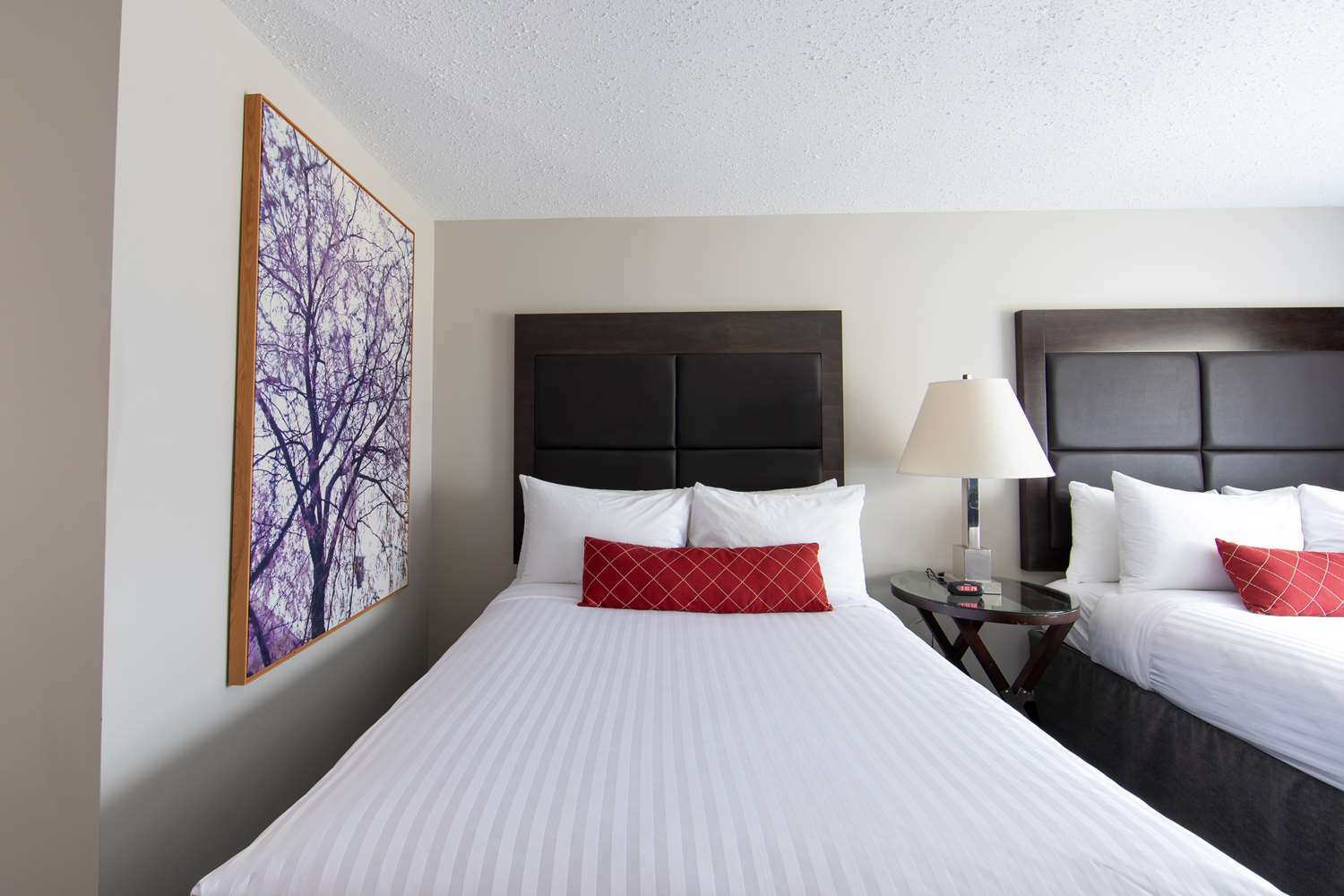 Surestay Hotel By Best Western Каслгар Номер фото
