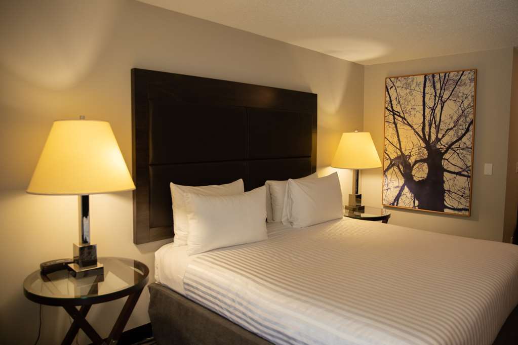 Surestay Hotel By Best Western Каслгар Номер фото